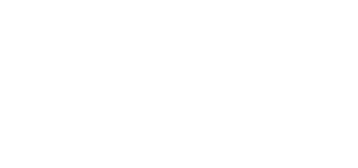 Pinya 365